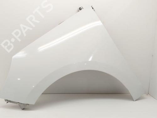 Used Left front fenders RENAULT SCÉNIC III (JZ0/1_) 1.5 dCi (JZ02, JZ0R) (95 hp) 31189805