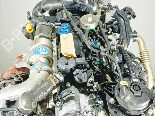 Engine FORD FOCUS III  | BP15978603M1 