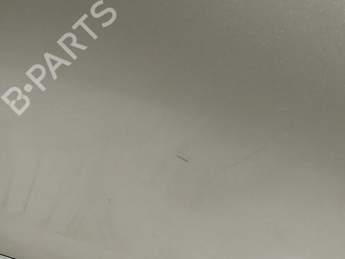 Right front door MERCEDES-BENZ S-CLASS (W221, V221) S 320 CDI | BP15973107C3 