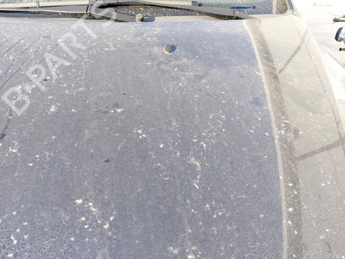 Hood FORD FOCUS II (DA_, HCP, DP) 1.6 | BP28304067C1 