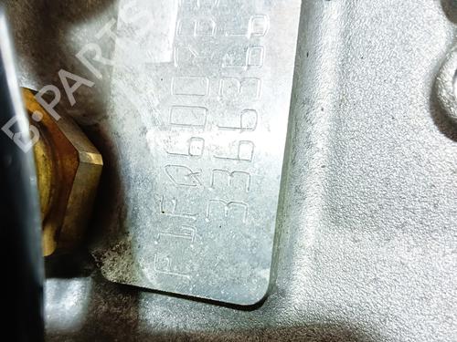 Engine FORD FOCUS III  | BP15978603M1 