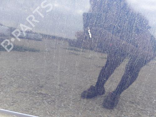 Left front door VW POLO (9N_, 9A_) 1.2 | BP26884969C2 