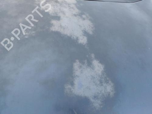 Hood CITROËN C4 Grand Picasso I (UA_) 1.6 HDi | BP27273155C1