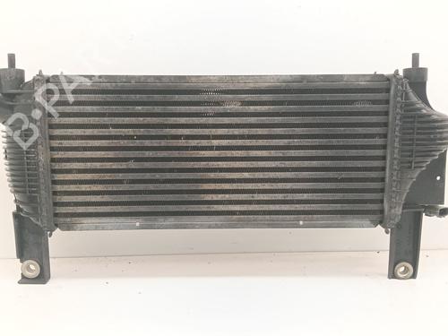 Intercooler NISSAN PATHFINDER III (R51) [2005-2026]  31907010
