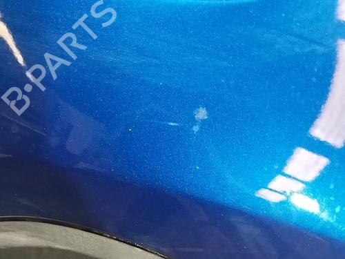 Left rear door DACIA SANDERO II 1.5 Blue dCi 95 (B8JL) | BP19523310C4 