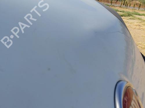 Hood FIAT FIORINO Box Body/MPV (225_) 1.3 D Multijet (225BXD1A, 225BXB1A, 225BXB11) | BP27273144C1