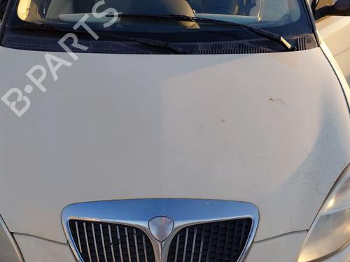 Used Hood LANCIA YPSILON (843_) 1.2 (843.AXA1A) (60 hp) 28805250