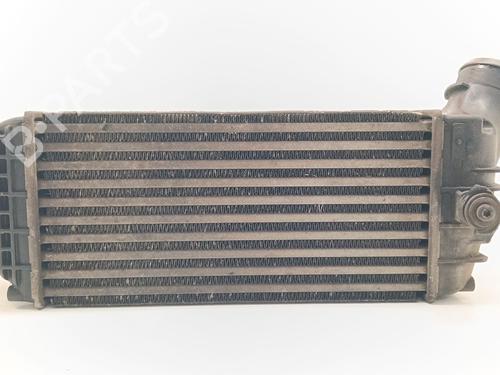 Intercooler RENAULT CLIO II (BB_, CB_) 1.2 16V (BB05, BB0W, BB11, BB27, BB2T, BB2U, BB2V, CB05,... (75 hp) 31837027