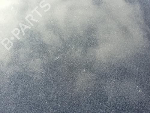 Hood MERCEDES-BENZ B-CLASS Sports Tourer (W245)  | BP19664947C1 