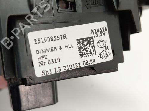 Hovedlysbryter RENAULT MEGANE IV Grandtour (K9A/M/N_) E-TECH 160 (K9NH) | BP30683716I24