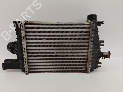 Radiator fan RENAULT CLIO IV (BH_) 1.5 dCi 75 | BP29498619M35 