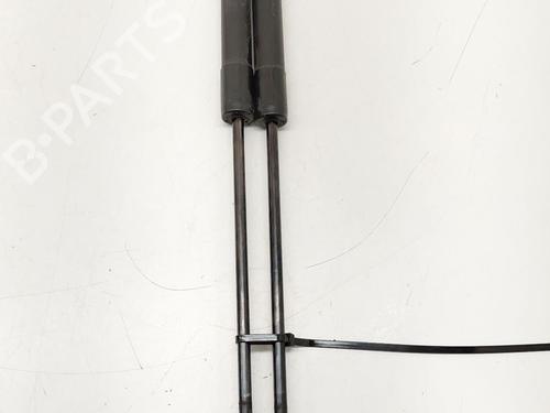Used Tailgate lift support RENAULT SCÉNIC III (JZ0/1_) 1.5 dCi (JZ02, JZ0R) (95 hp) 31214549