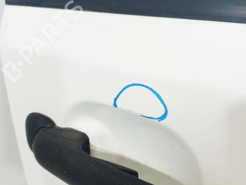 Right front door NISSAN TERRANO II (R20)  | BP15980461C3 