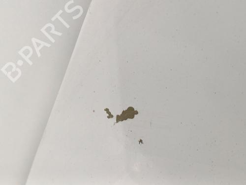 Hood VW GOLF PLUS V (5M1, 521) 1.6 TDI | BP29851056C1 