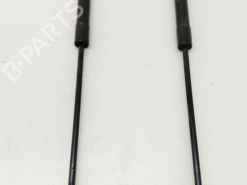 tailgate-lift-support-citroen-c4-ii-nc_-2009-32451679 main image