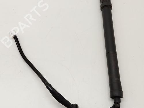 Used Tailgate lift support TOYOTA RAV 4 V (_A5_, _H5_) 2.5 Hybrid AWD (AXAH54) (178 hp) 32168880