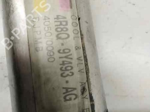 Egr JAGUAR S-TYPE II (X200) 2.7 D | BP20856621M69 