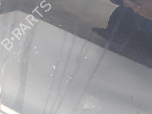 Left front door MERCEDES-BENZ S-CLASS (W221, V221) S 350 CDI 4-matic (221.080, 221.180) | BP17628501C2 
