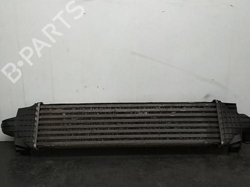 Intercooler FORD FOCUS II (DA_, HCP, DP) 1.6 TDCi | BP4458349M30 