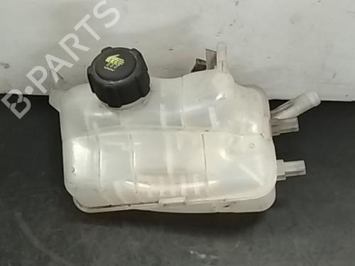 Used Expansion tank RENAULT MEGANE III Grandtour (KZ0/1) 1.5 dCi (KZ09, KZ0D, KZ1G, KZ29, KZ14, KZ1W, KZ10, KZ1F,... (110 hp) 4488502