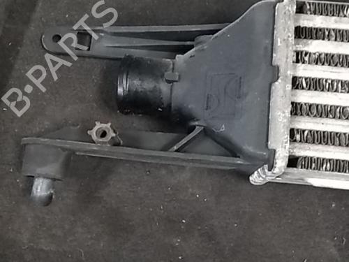 Intercooler ALFA ROMEO MITO (955_) 1.3 MultiJet (955AXH1B, 955AXT1A) | BP5388158M30 