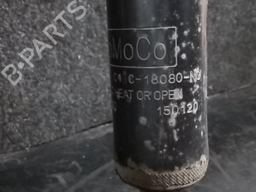 Right rear shock absorber FORD FIESTA V (JH_, JD_) 1.6 | BP5843582M19 