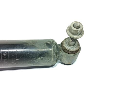 Left rear shock absorber RENAULT MEGANE IV Grandtour (K9A/M/N_) 1.6 dCi 130 | BP8614756M18 