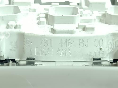 Interior roof light CITROËN C4 II (NC_) 1.6 HDi 90 | BP12266338I8