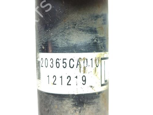 Right rear shock absorber TOYOTA GT 86 Coupe (ZN6_)  | BP13933911M19 