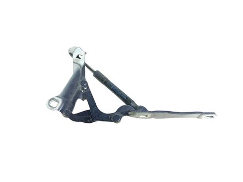 Hinge/Door check strap MINI MINI (R56) One D 2751204