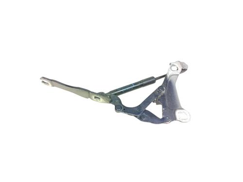 Hinge/Door check strap MINI MINI (R56) One D 2751203