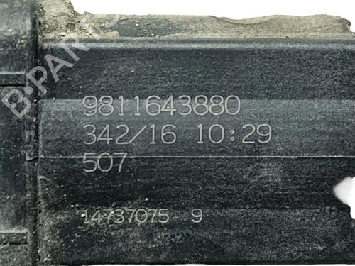 Other CITROËN BERLINGO Box Body/MPV (B9) 1.6 HDi / BlueHDi 75 | BP29431603O1 