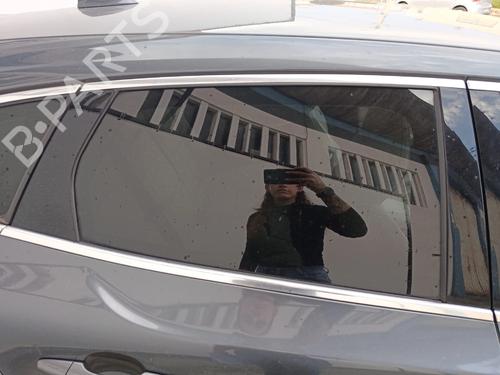 BP30109530C21 main image