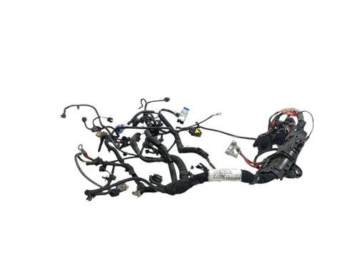 Used Wiring harness RENAULT CLIO IV (BH_) 1.5 dCi 75 (75 hp) 30975847