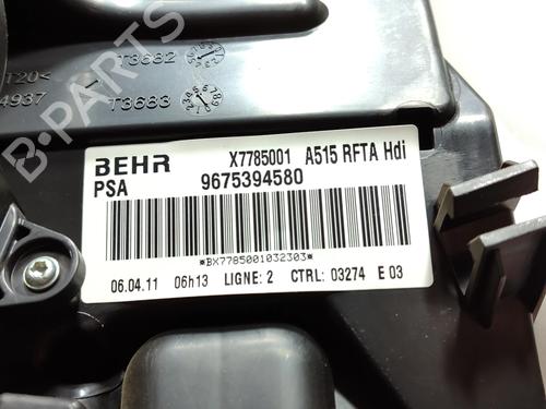  - Image 5