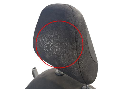 Right front seat NISSAN MICRA V (K14) 0.9 IG-T | BP24177078C16 - Image 7