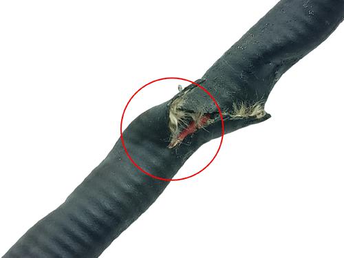 Electronic sensor BMW 1 (F40) 116 d | BP38542717M84 - Image 4
