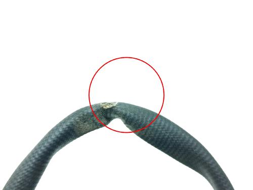 Electronic sensor BMW 1 (F40) 116 d | BP39620668M84 - Image 4