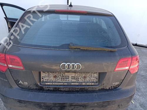 Venstre bak invendig håndtak AUDI A3 (8P1) 1.6 TDI | BP18075069I15 