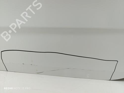 Left rear door CITROËN C4 II (NC_)  | BP24315774C4 