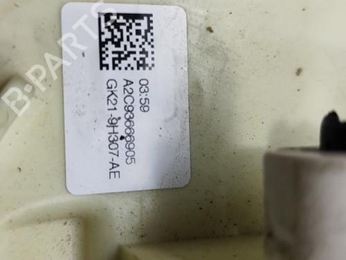 Fuel pump FORD TRANSIT CUSTOM V362 Van (FY, FZ) | BP30794334M76