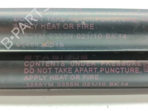 Tailgate lift support NISSAN QASHQAI / QASHQAI +2 I (J10, NJ10, JJ10E) 2.0 | BP17947945C138 