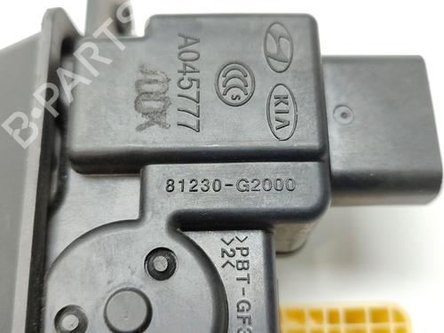 Tailgate lock HYUNDAI IONIQ (AE) Elektro | BP20495519C101 