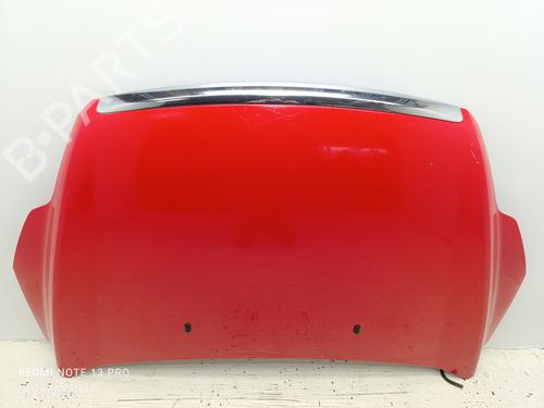 Hood FORD FOCUS II (DA_, HCP, DP) 1.6 TDCi | BP21122789C1 