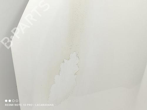Hood NISSAN QASHQAI / QASHQAI +2 I (J10, NJ10, JJ10E)  | BP24547450C1 