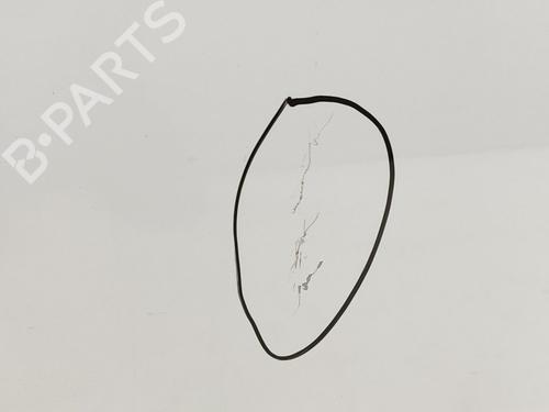 Left rear door DACIA SANDERO II  | BP23336931C4 