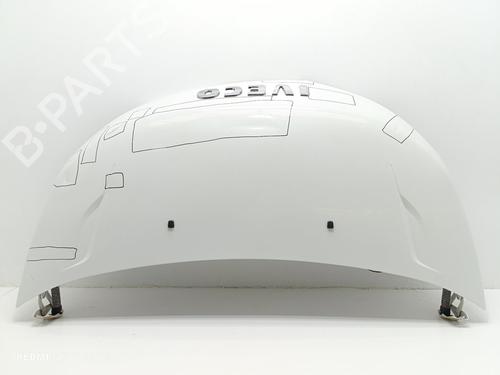 Capot IVECO DAILY IV Van [2006-2012]  31339627