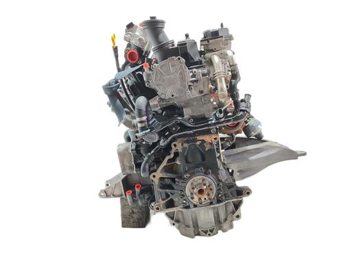 Engine VW TRANSPORTER T6 Van (SGA, SGH, SHA, SHH)  | BP29512317M1 