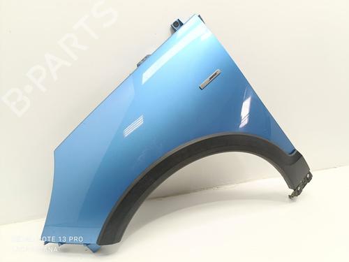 Left front fenders RENAULT SCÉNIC III (JZ0/1_) 1.2 TCe (JZ16) | BP21591056C41 