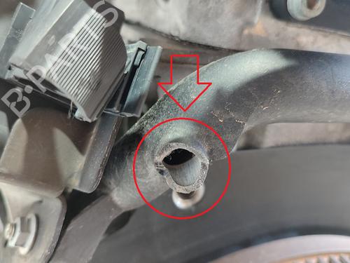 Engine SEAT LEON (1P1)  | BP29350433M1 